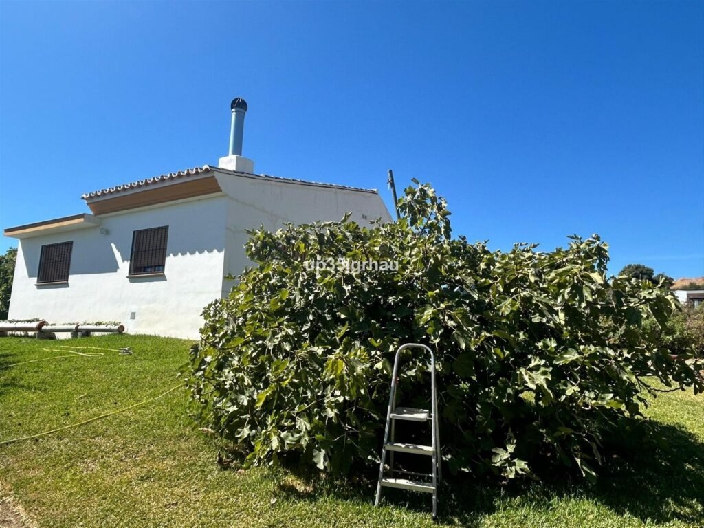 1 Bed Finca – Cortijo for Sale in Estepona – Private Pool & 3,000 m² Plot