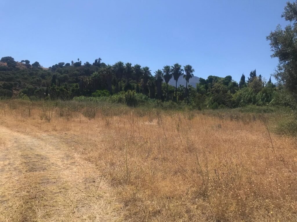 Land for Sale in Estepona – 27,265 m² Plot with Villa Potential