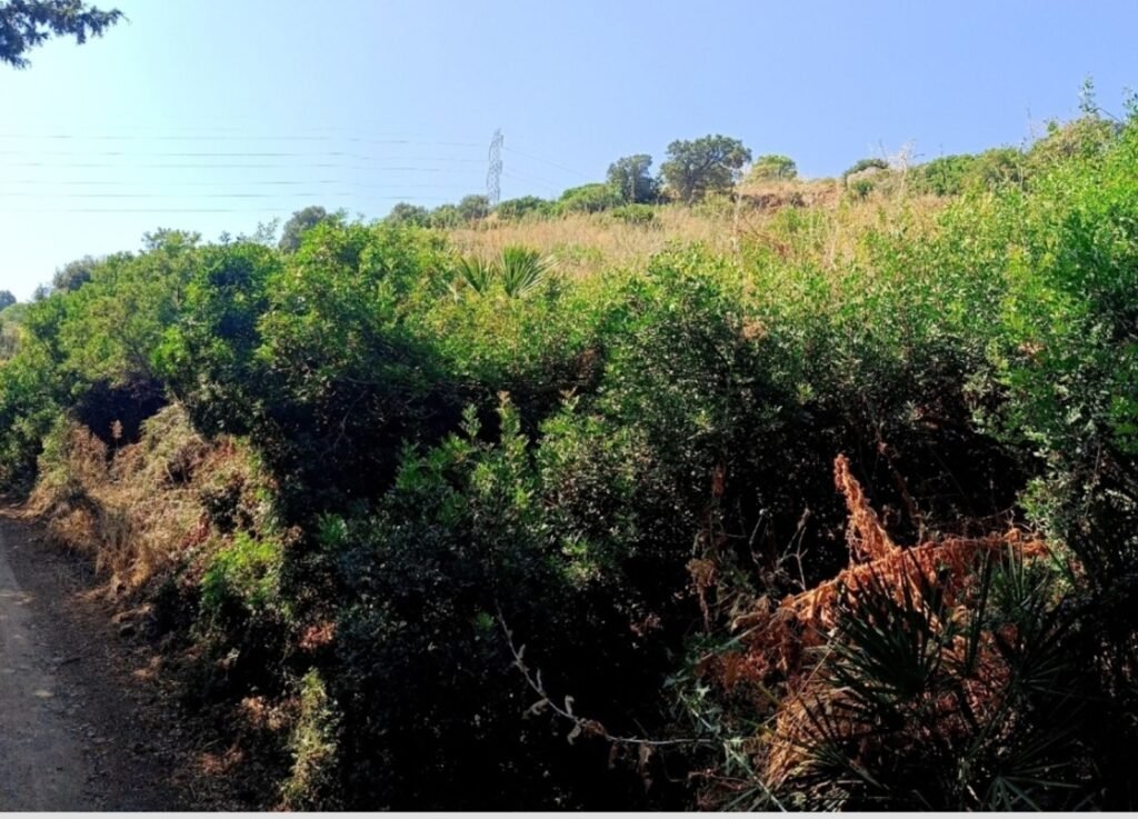 Land for Sale in Estepona – 21,000 m² Plot with Utilities