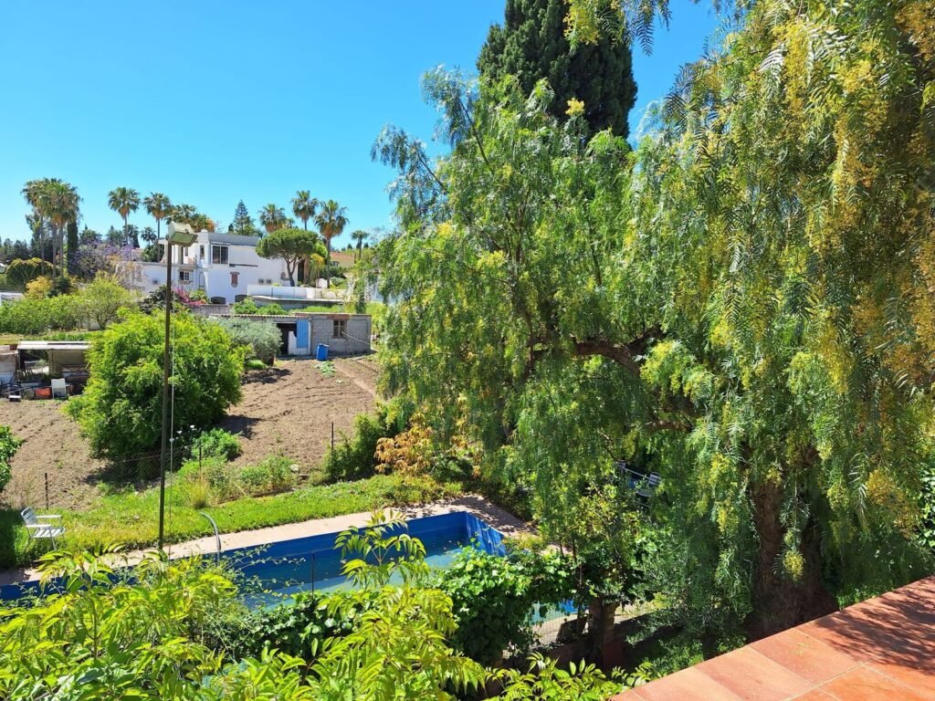 3 Bed Finca – Cortijo for Sale in Estepona – 3,000 m² Plot with Expansion Potential