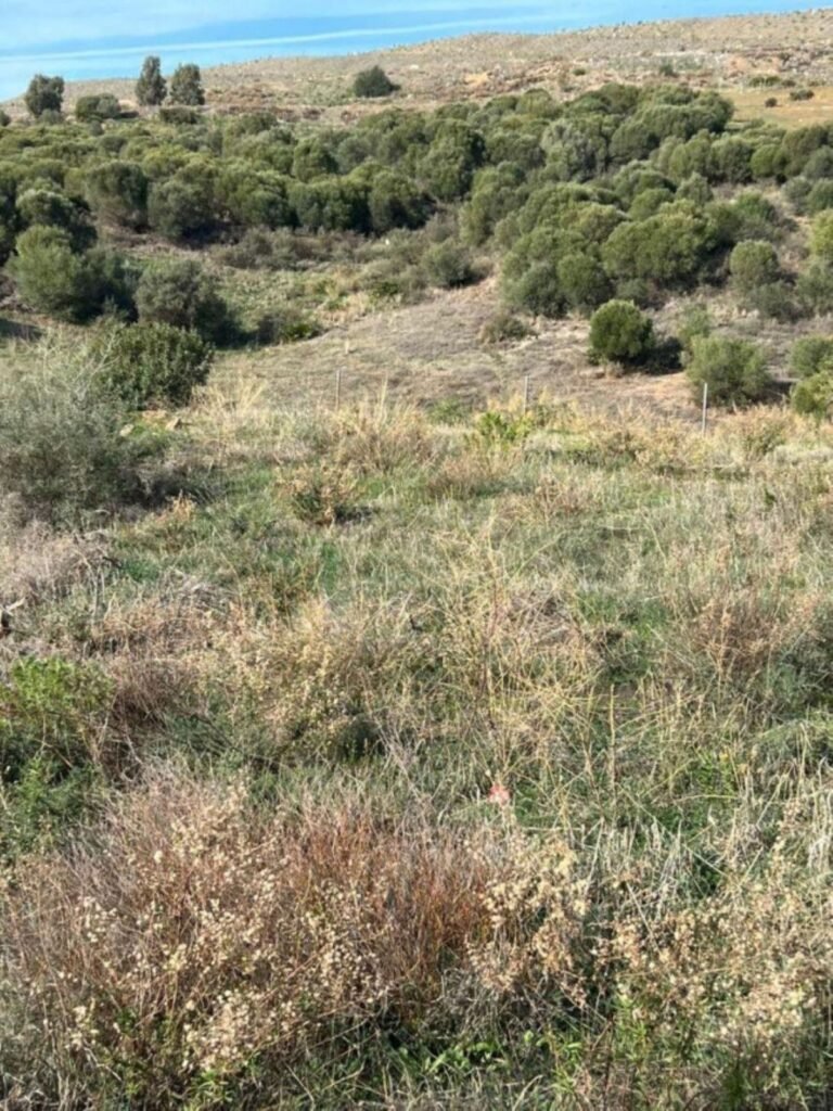 Residential Plot for Sale in Bel Air – 1,200m² Urban Land