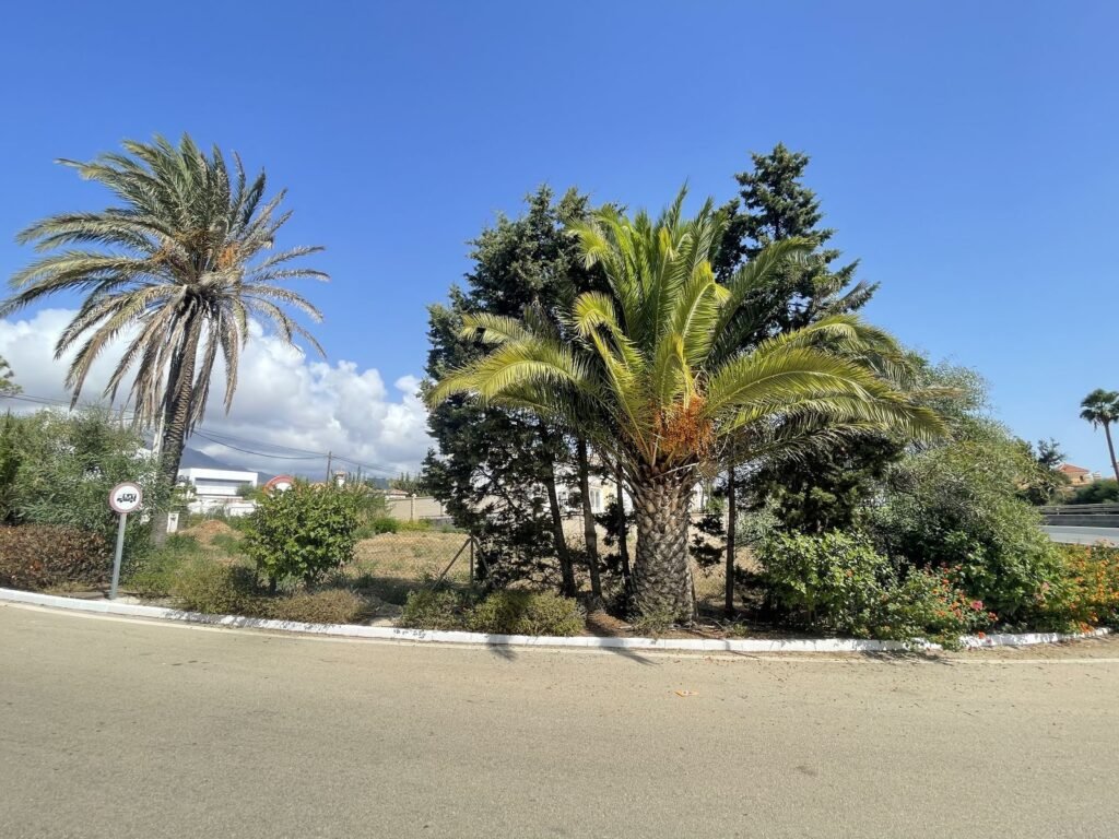 Residential Plot for Sale in Estepona – 1,287 m² Urbanisation Plot