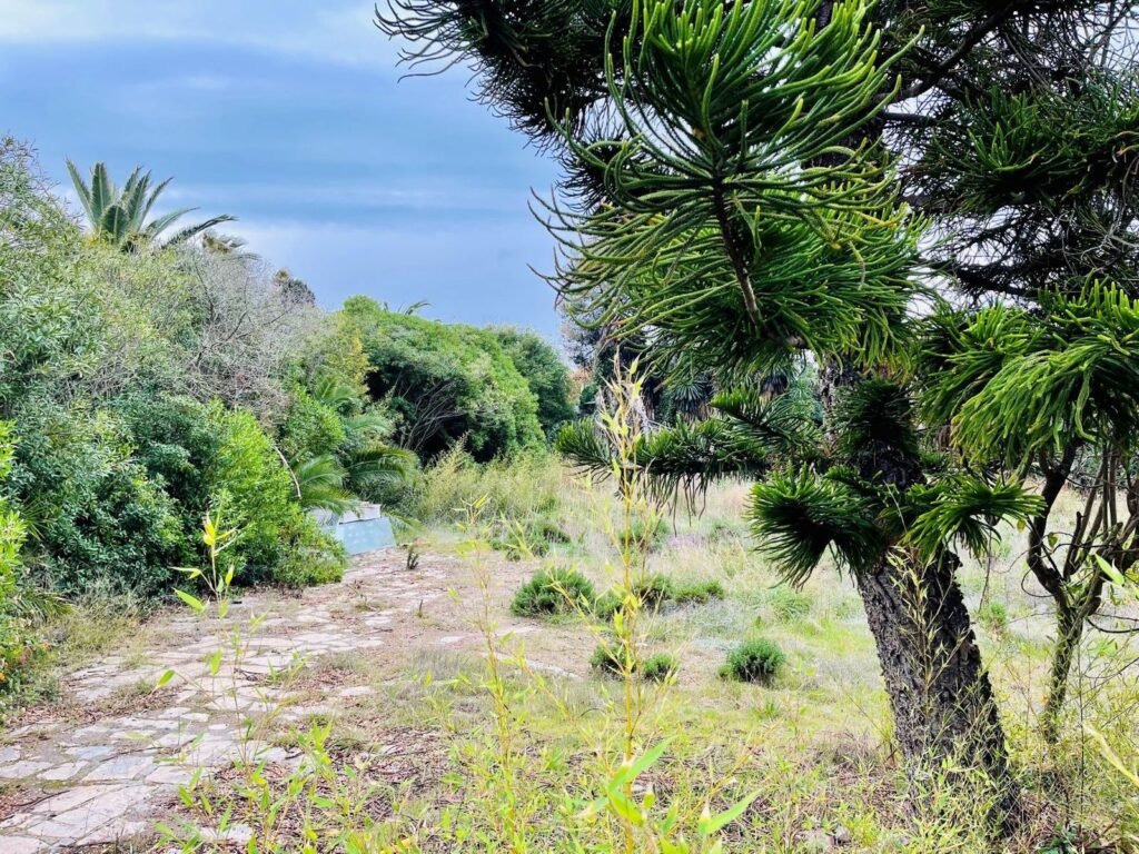 Residential Plot for Sale in Estepona – Casasola Golf & Beach Setting