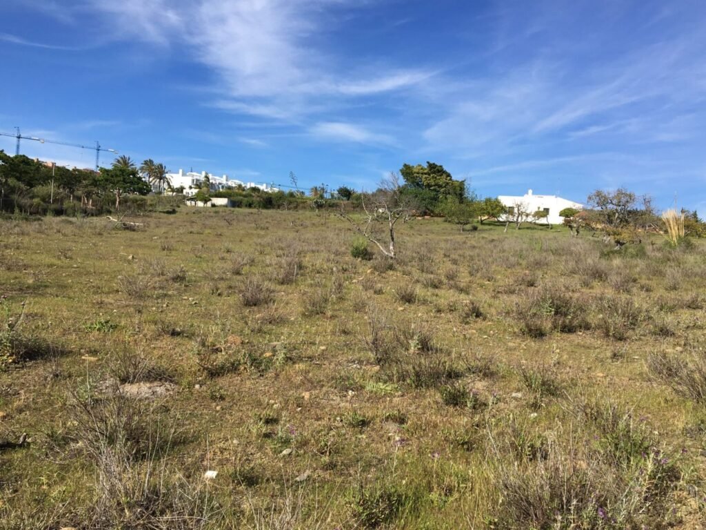 Land for Sale in Cancelada – 30,635 m² Plot, South Facing