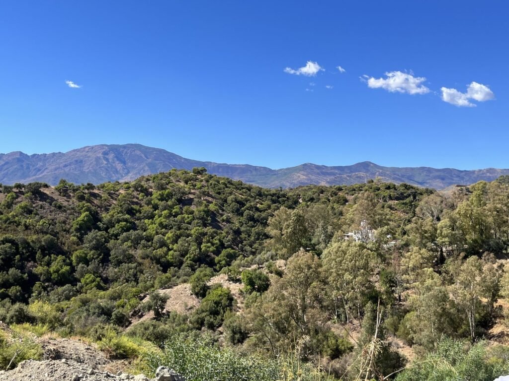 Residential Plot for Sale in Selwo – 4,124m² Luxury Villa Site