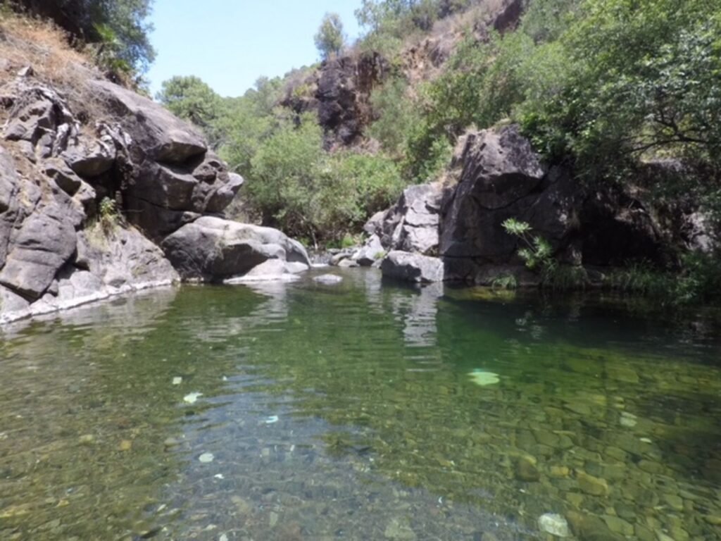 Land for Sale in Estepona – 1-Hectare Riverside Mountain Plot